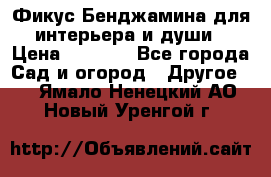 Фикус Бенджамина для интерьера и души › Цена ­ 2 900 - Все города Сад и огород » Другое   . Ямало-Ненецкий АО,Новый Уренгой г.